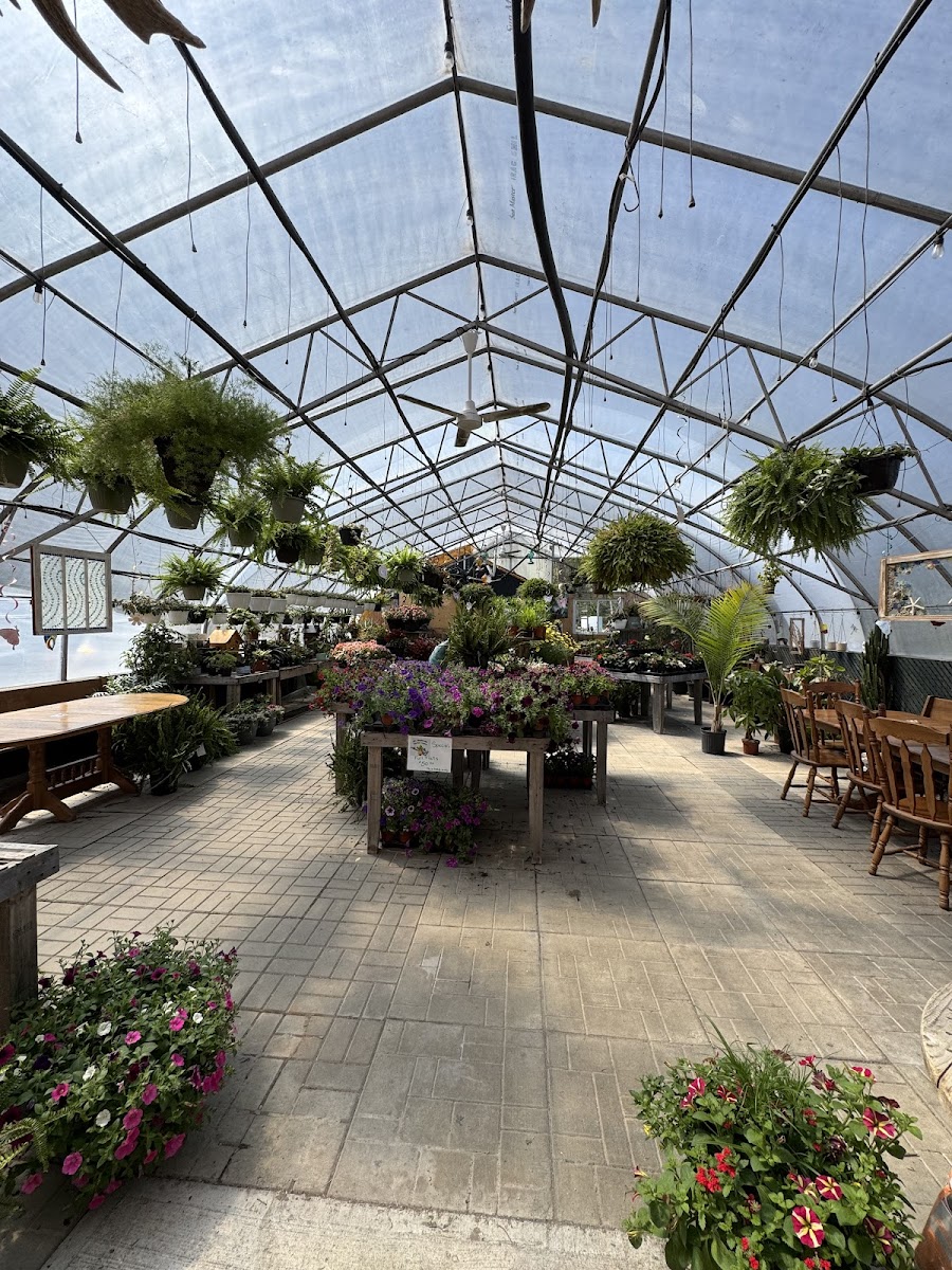 Saucy Apple Photos 2